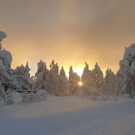 Ro I Sjelen. Hytte Til Leie Pa Skrim. Kongsberg Екстер'єр фото