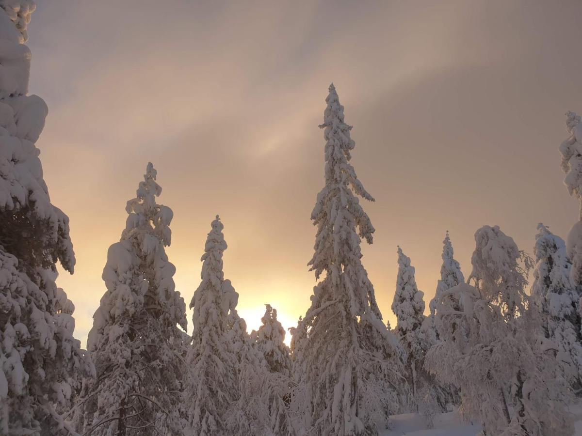 Ro I Sjelen. Hytte Til Leie Pa Skrim. Kongsberg Екстер'єр фото