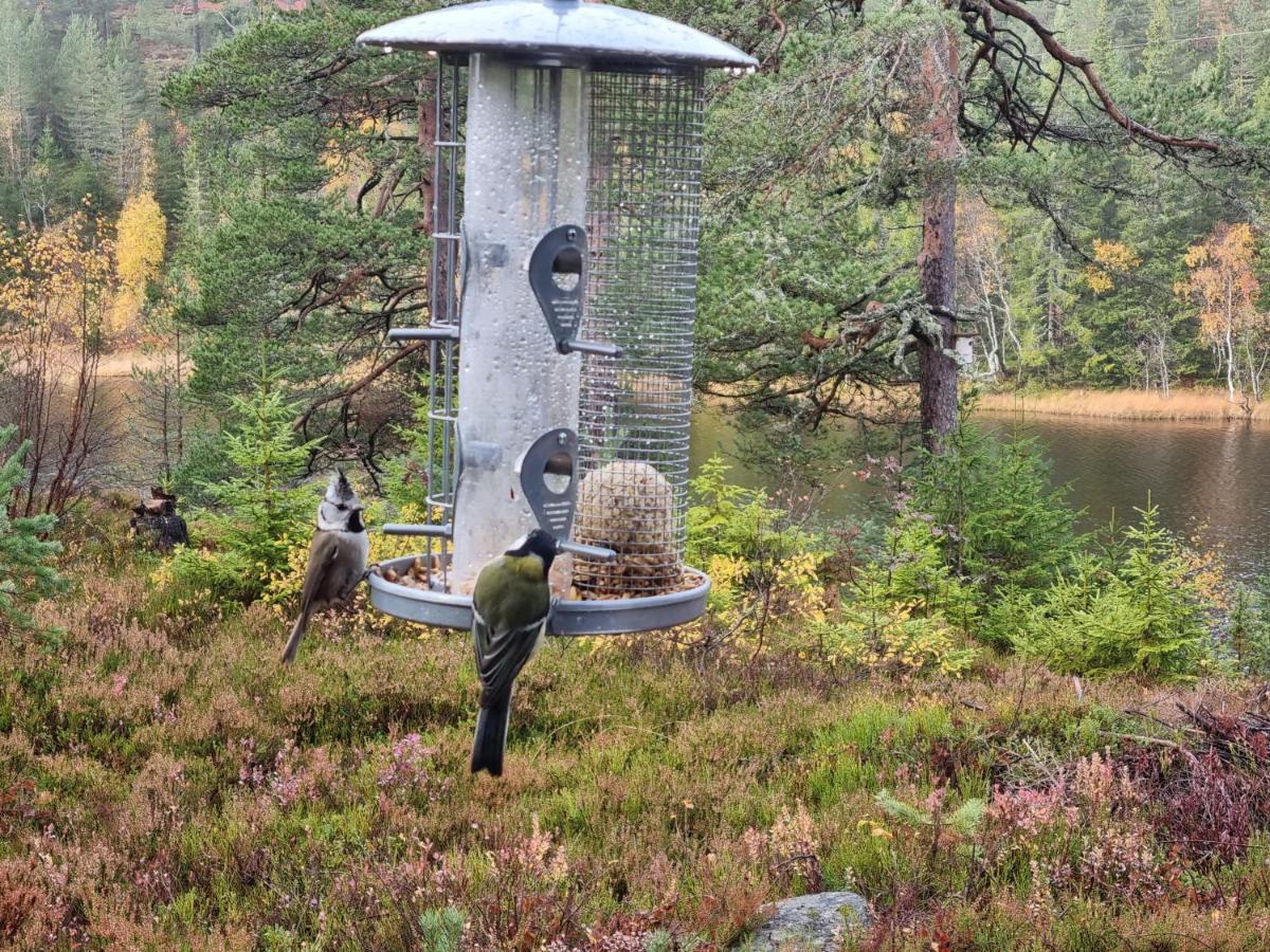 Ro I Sjelen. Hytte Til Leie Pa Skrim. Kongsberg Екстер'єр фото