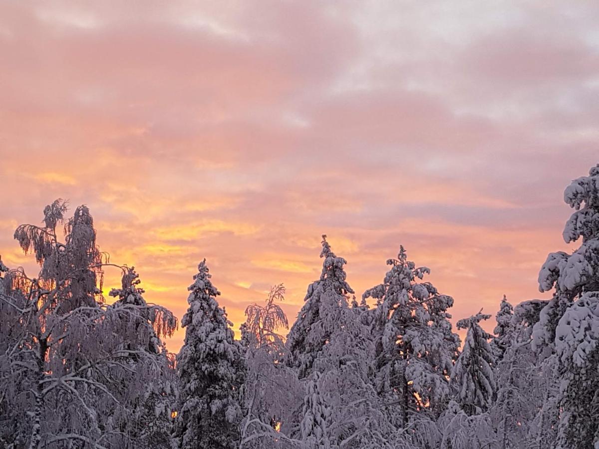 Ro I Sjelen. Hytte Til Leie Pa Skrim. Kongsberg Екстер'єр фото