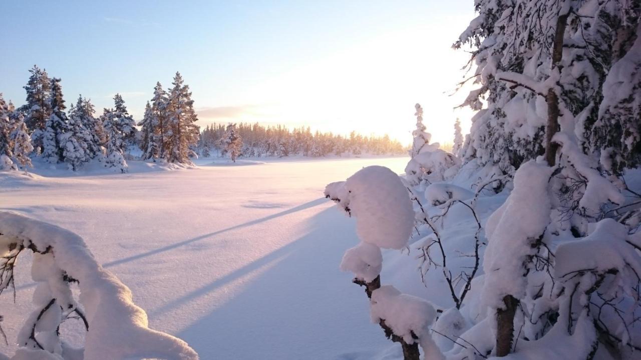 Ro I Sjelen. Hytte Til Leie Pa Skrim. Kongsberg Екстер'єр фото