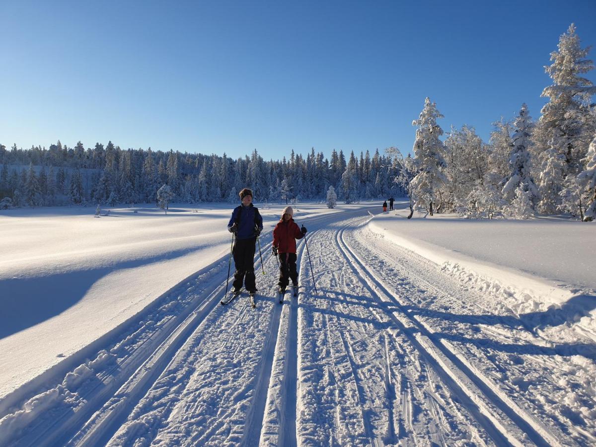 Ro I Sjelen. Hytte Til Leie Pa Skrim. Kongsberg Екстер'єр фото