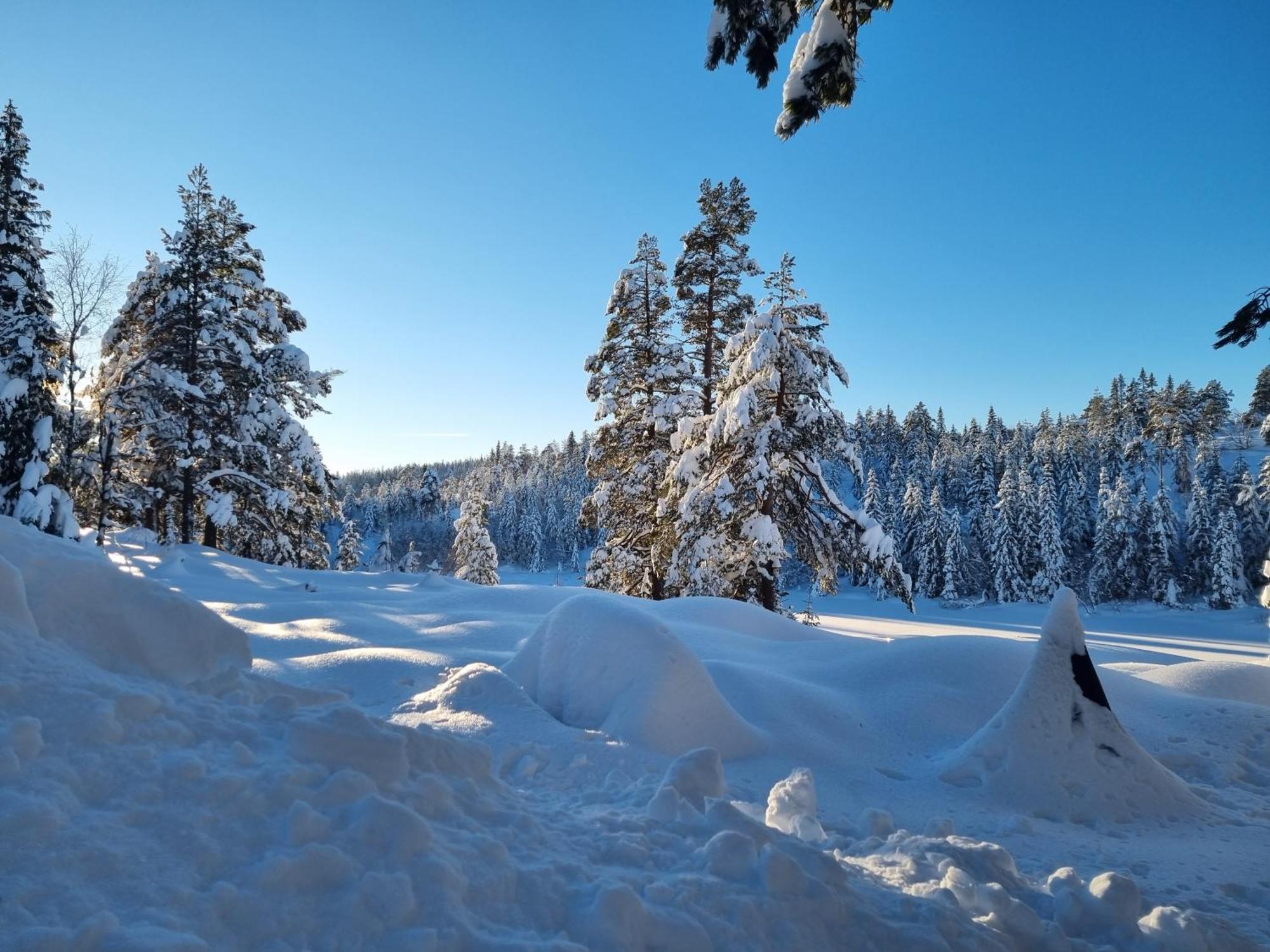 Ro I Sjelen. Hytte Til Leie Pa Skrim. Kongsberg Екстер'єр фото