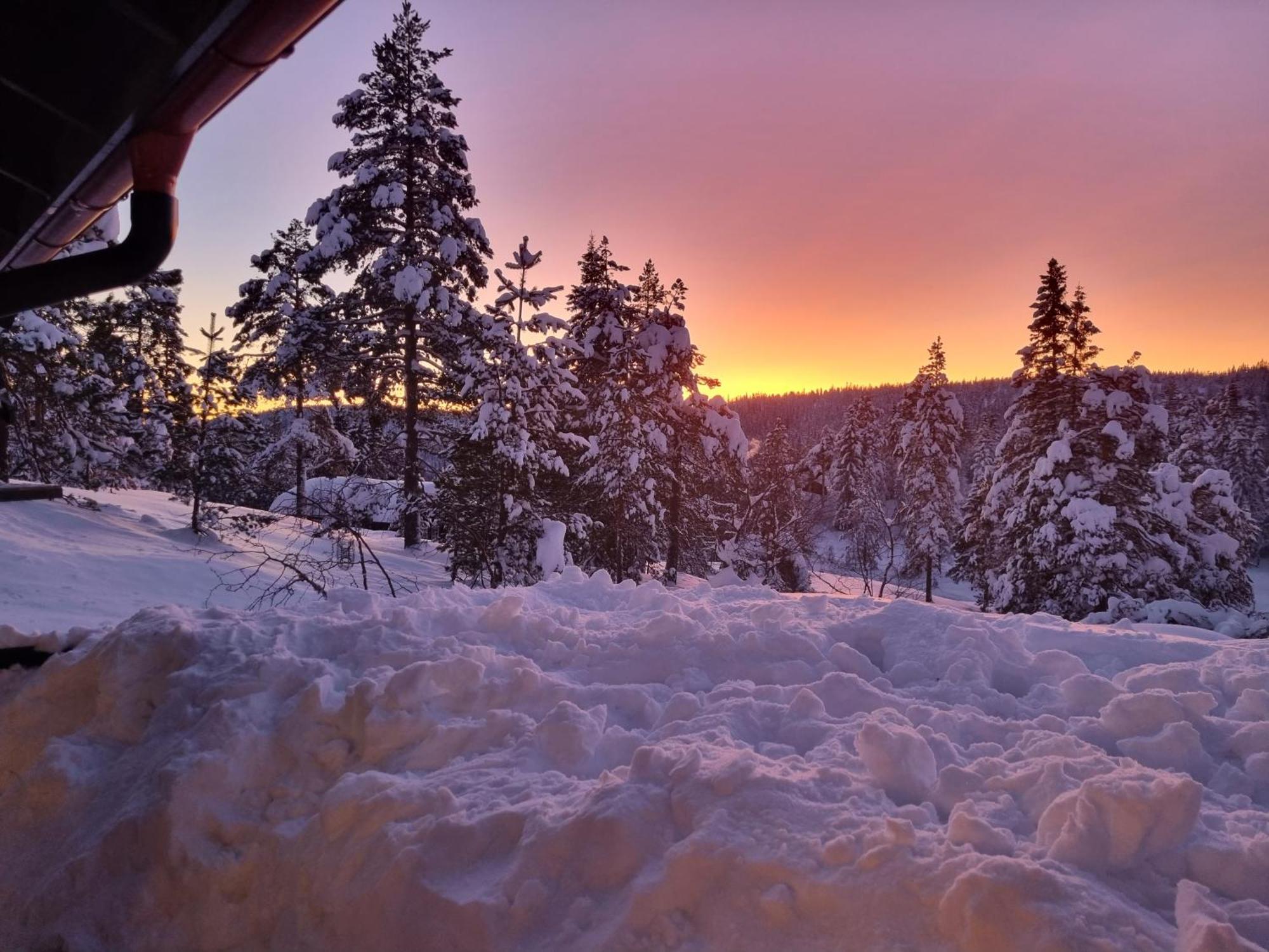 Ro I Sjelen. Hytte Til Leie Pa Skrim. Kongsberg Екстер'єр фото