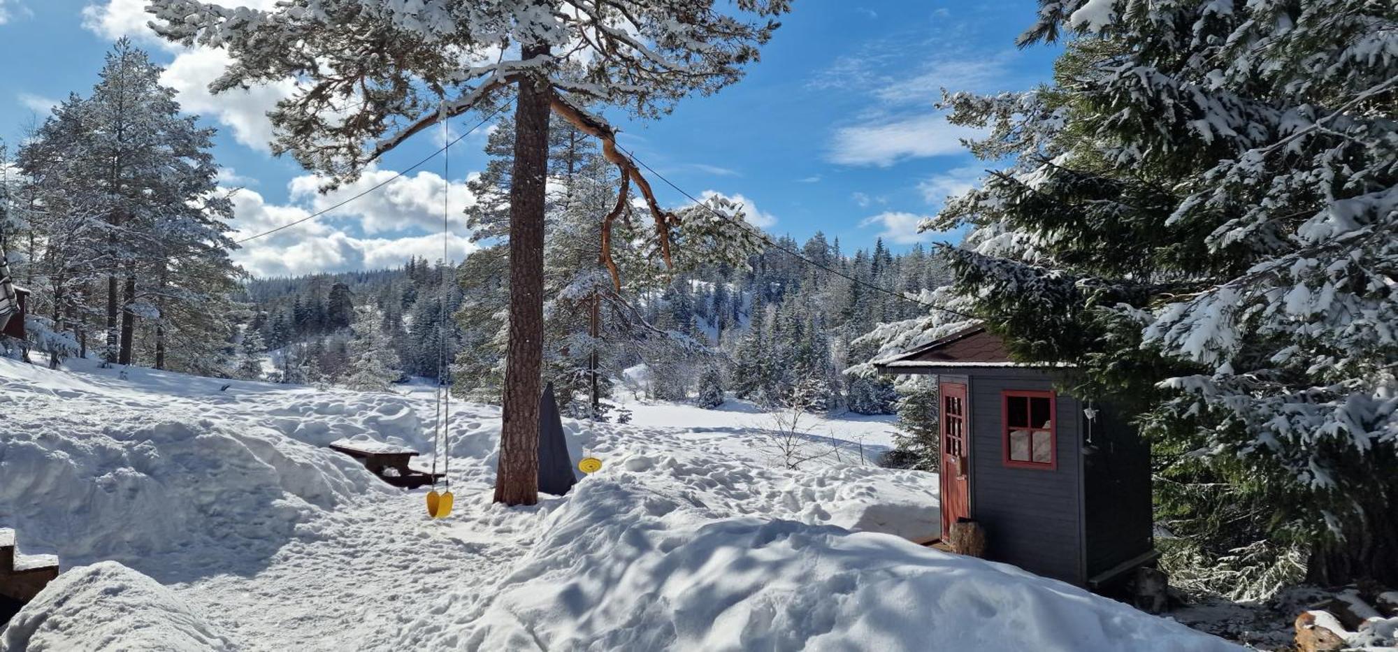 Ro I Sjelen. Hytte Til Leie Pa Skrim. Kongsberg Екстер'єр фото