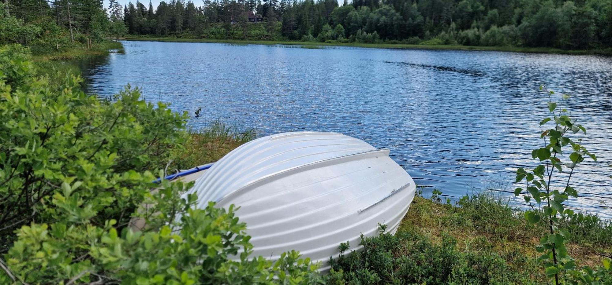 Ro I Sjelen. Hytte Til Leie Pa Skrim. Kongsberg Екстер'єр фото