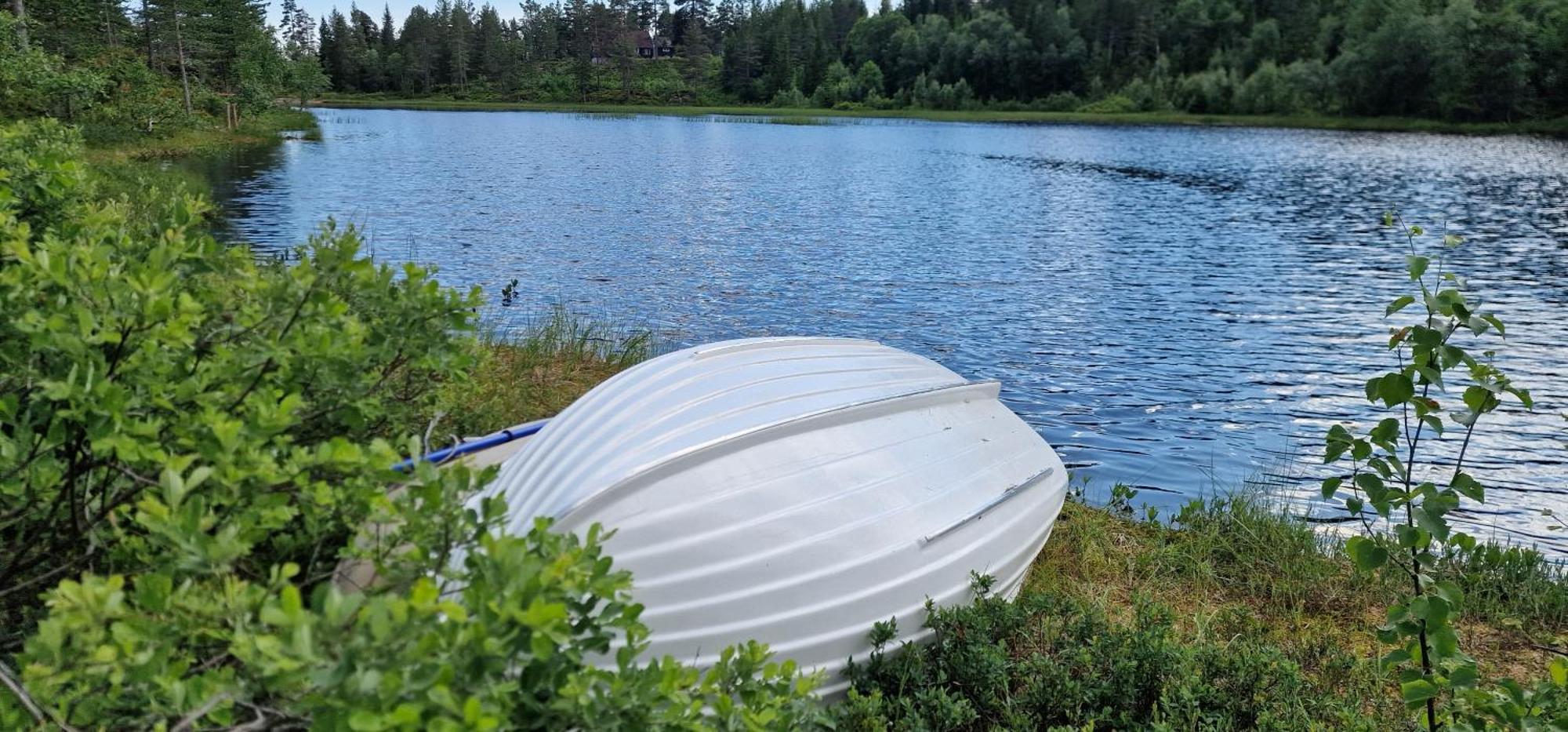 Ro I Sjelen. Hytte Til Leie Pa Skrim. Kongsberg Екстер'єр фото